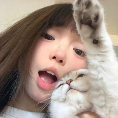 活死喵之夜